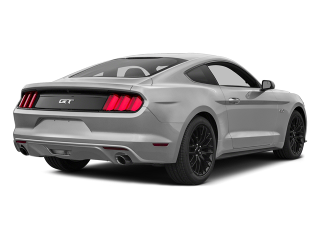 2015 Ford Mustang GT Pro Charged Exhaust Tuned Nav Back Up Leather Loaded and Fast in Hickery Hills, IL - Platinum Motorsports